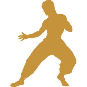 Non Classical Kung Fu