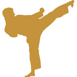 Sports de combats